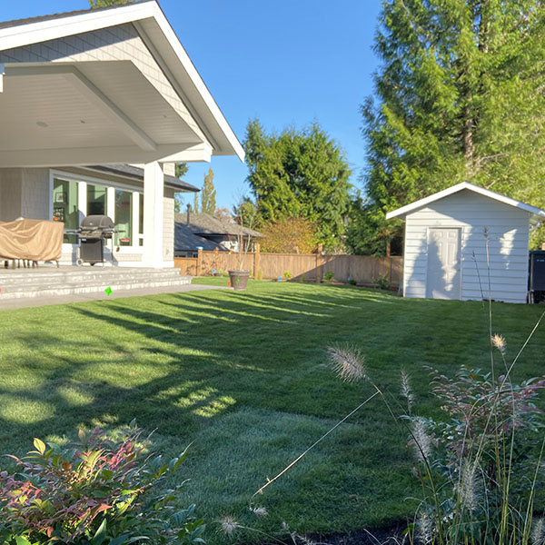Beautiful backyard